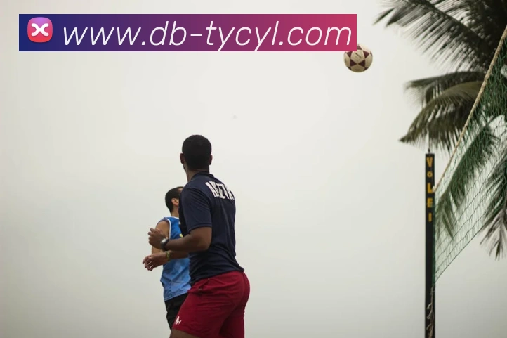 太阳城平台发展历程